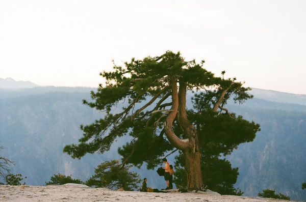 I Lived in the Woods for Five Months. Here’s What I Learned About Beauty.